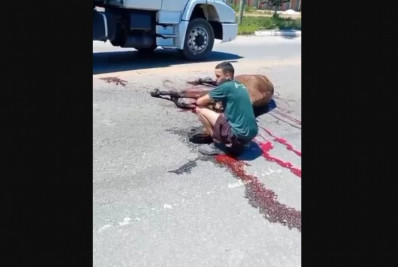 Cavalo é atropelado por ônibus na RJ-106, em Tamoios, em Cabo Frio