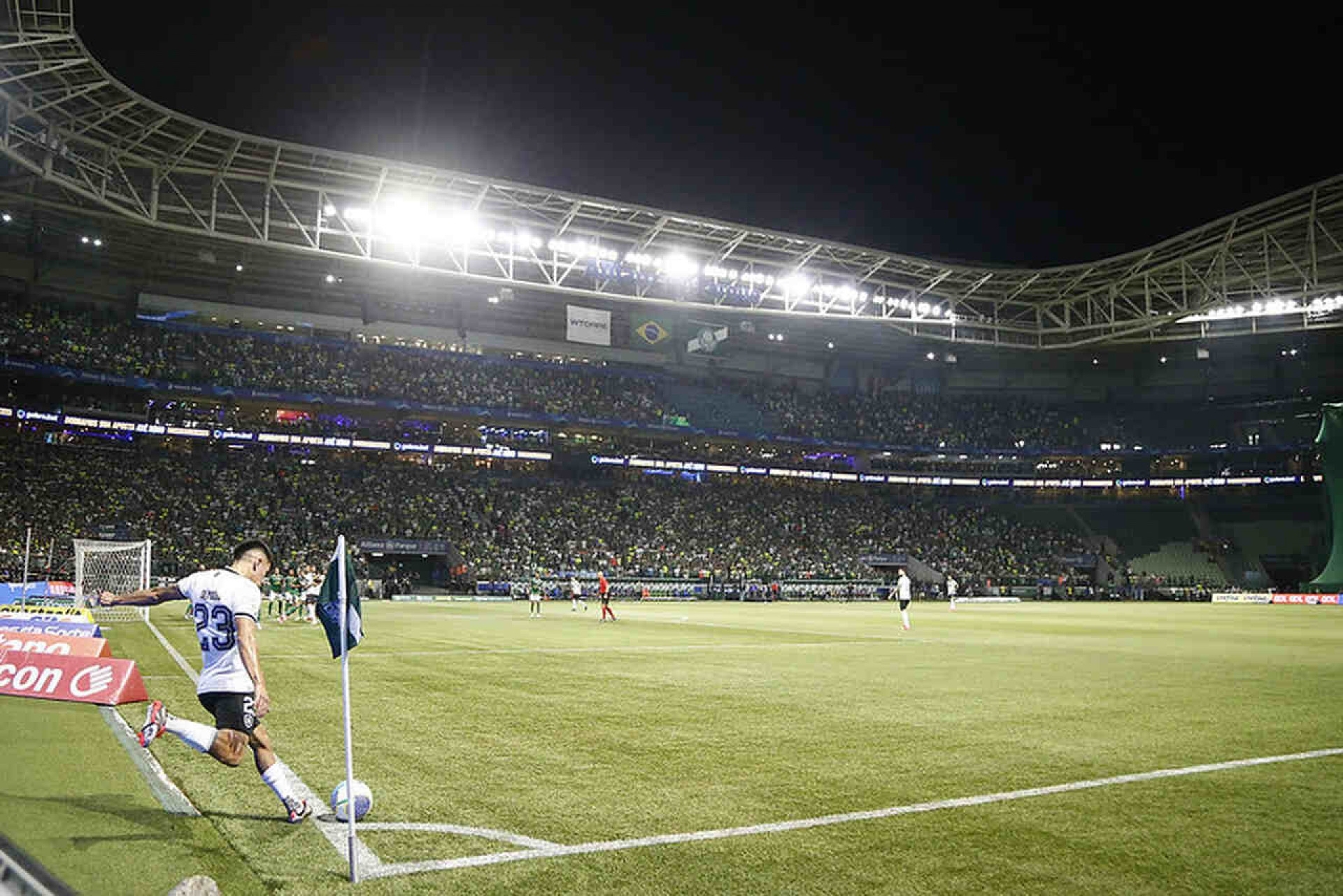 No Allianz, Palmeiras tem Botafogo como “pedra no sapato” pelo Brasileir&atilde;o