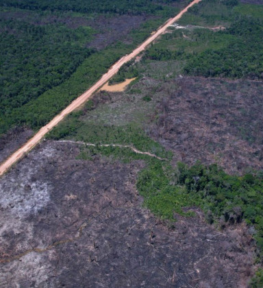 Entidades criticam urgência de projeto que altera mecanismo de combate ao crimes ambientais | Brasil | O Dia