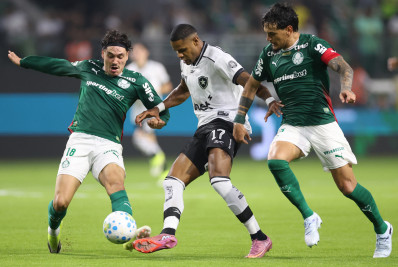 Com um a menos, Botafogo perde para o Palmeiras e segue no Z-4 do Brasileirão