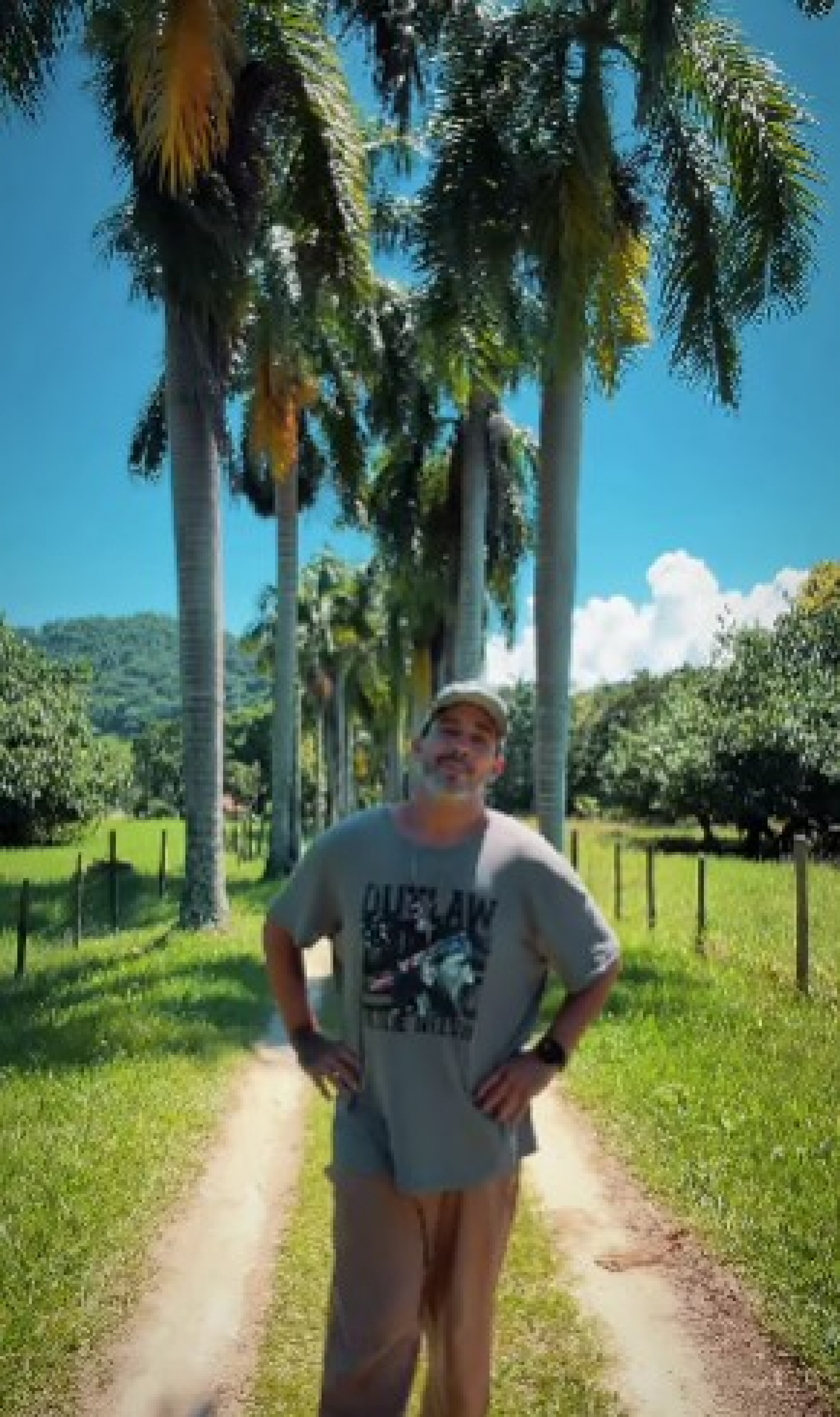 Andre Marques - Reprodução de vídeo / Instagram