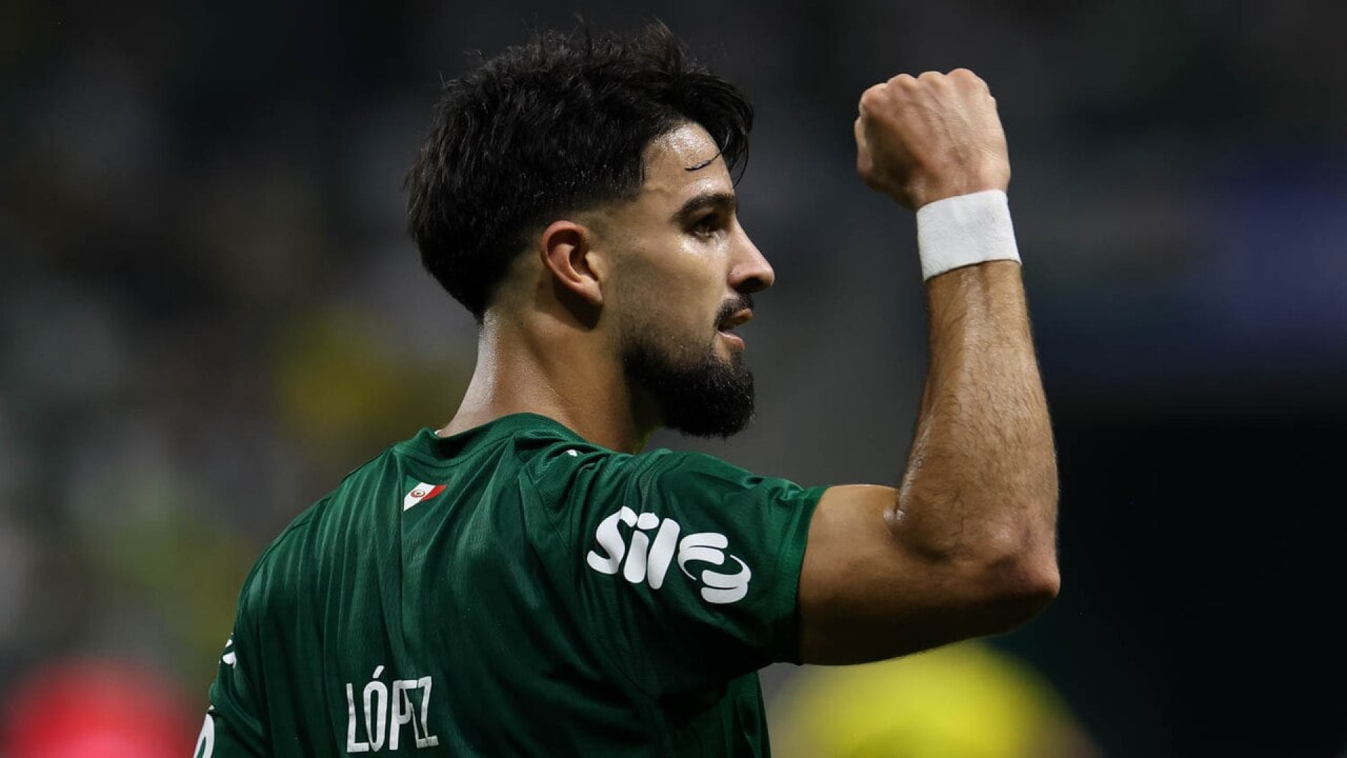 Palmeiras x Botafogo: onde assistir, escala&ccedil;&otilde;es e arbitragem