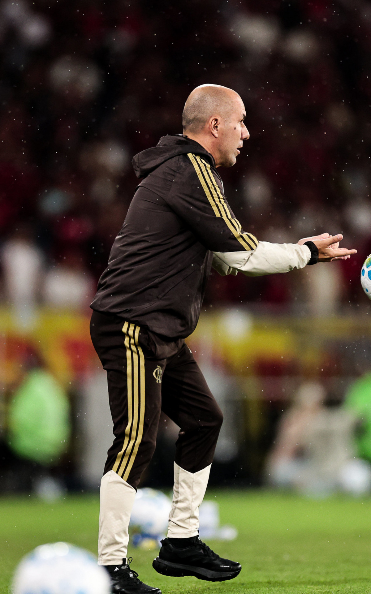 Leonardo Jardim - Gilvan de Souza / Flamengo