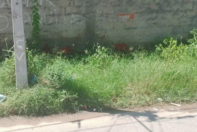 Morador denuncia mato alto e falta de iluminação no Vinhateiro, em São Pedro