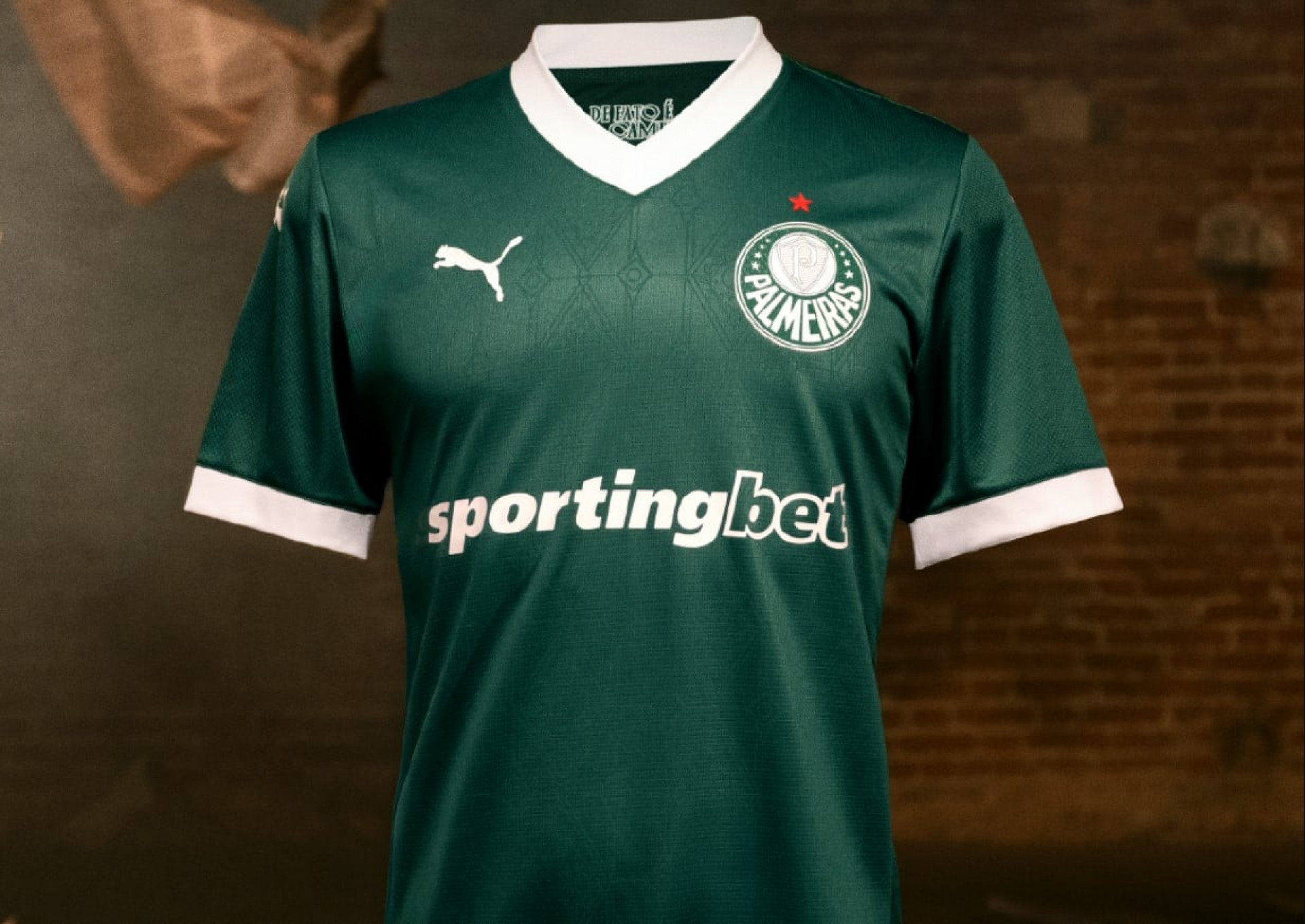 Novo patrocinador do Palmeiras pode render at&eacute; R$ 30 milh&otilde;es