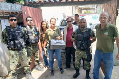 Resgate de animais é realizado no Jardim Caiçara, em Cabo Frio