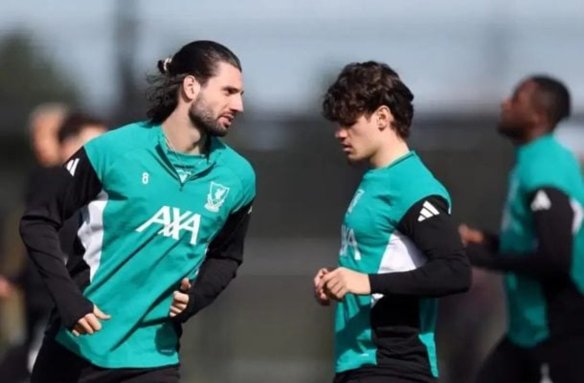 Brighton x Liverpool: onde assistir, escala&ccedil;&otilde;es e arbitragem