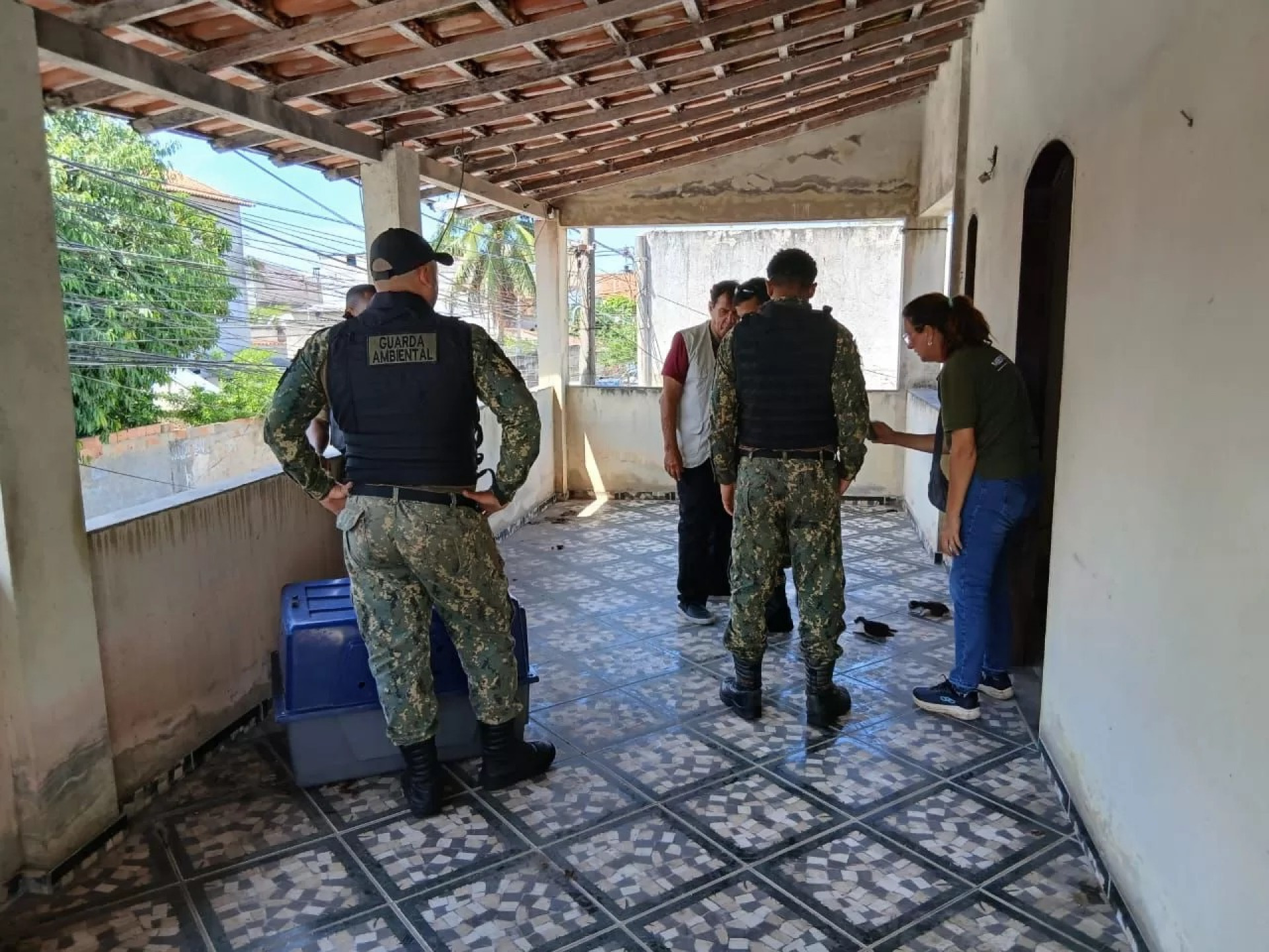 Agentes utilizam equipamentos de proteção durante a operação - Reprodução