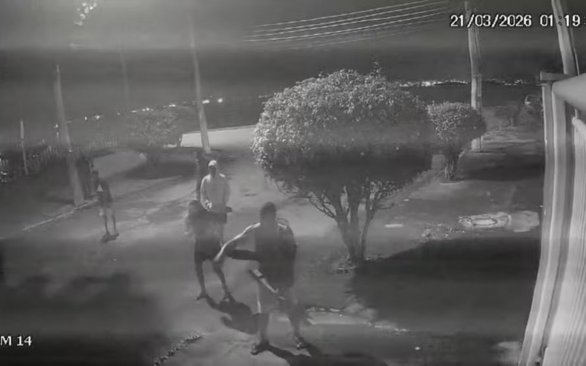 Imagens da câmera de segurança mostram agressores perseguindo o animal - Divulgação