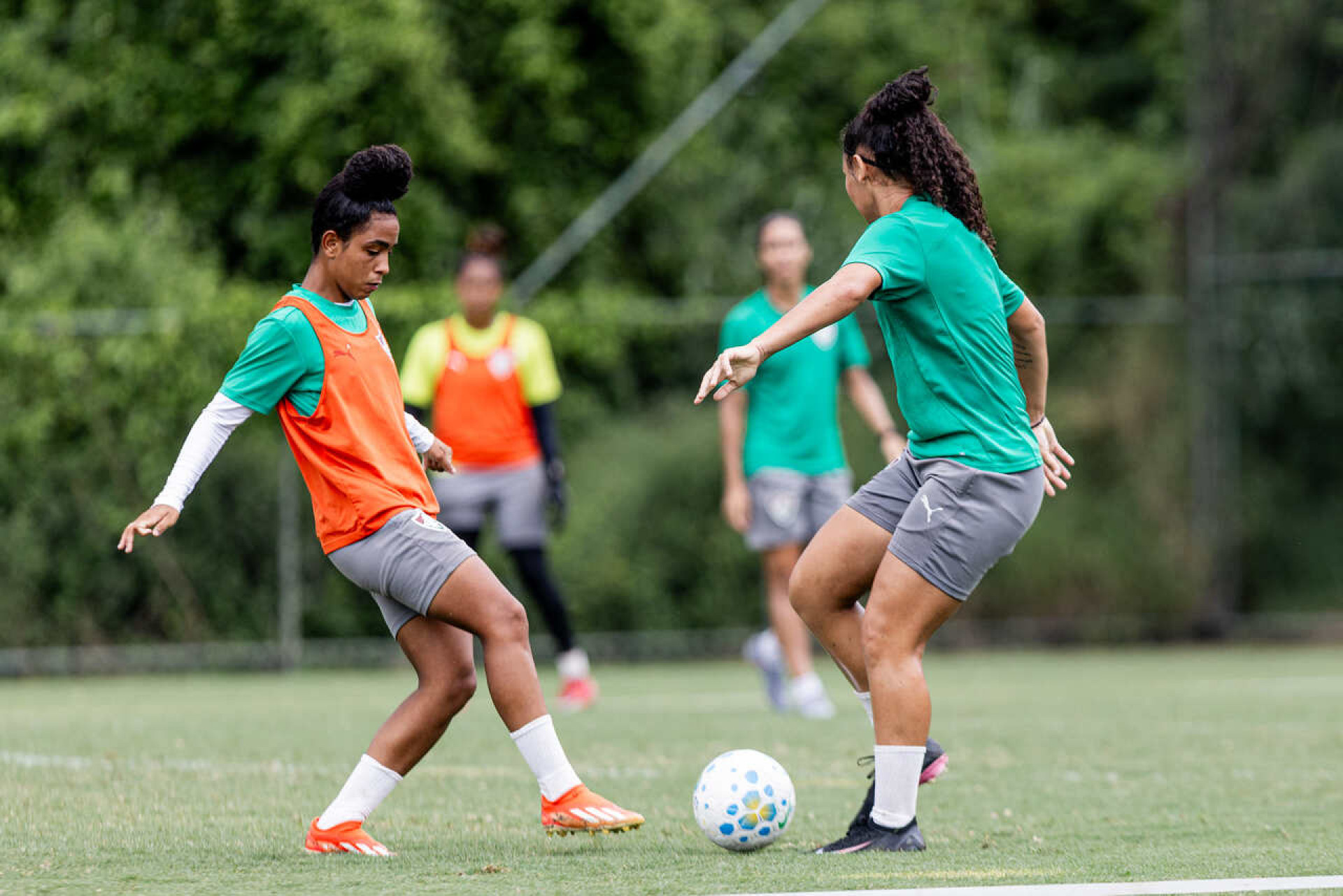 Fluminense x S&atilde;o Paulo (feminino): onde assistir, escala&ccedil;&otilde;es e arbitragem
