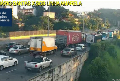 Queda de árvore interdita Linha Amarela