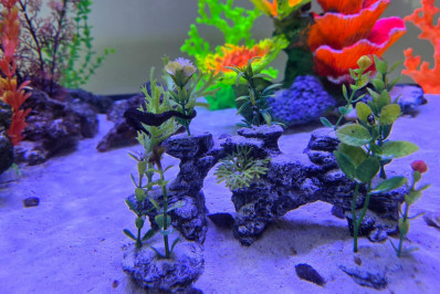 Vale reinaugura Fazenda Marinha em Mangaratiba