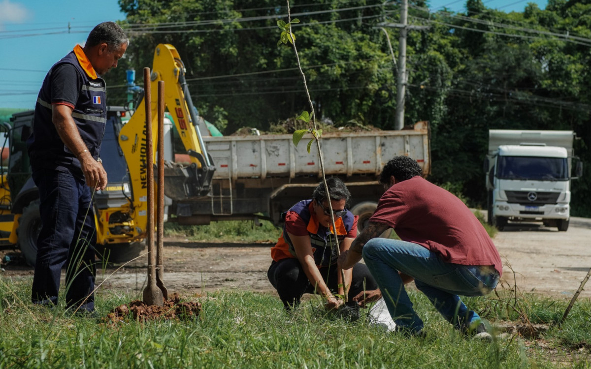 Prefeitura de Itaboraí realiza plantio e reurbanização no bairro do Porto das Caixas