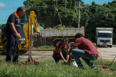 Prefeitura de Itaboraí realiza plantio e reurbanização no bairro do Porto das Caixas