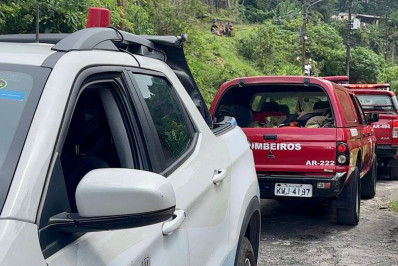 Cães são resgatados após atacarem cavalo no Quitandinha