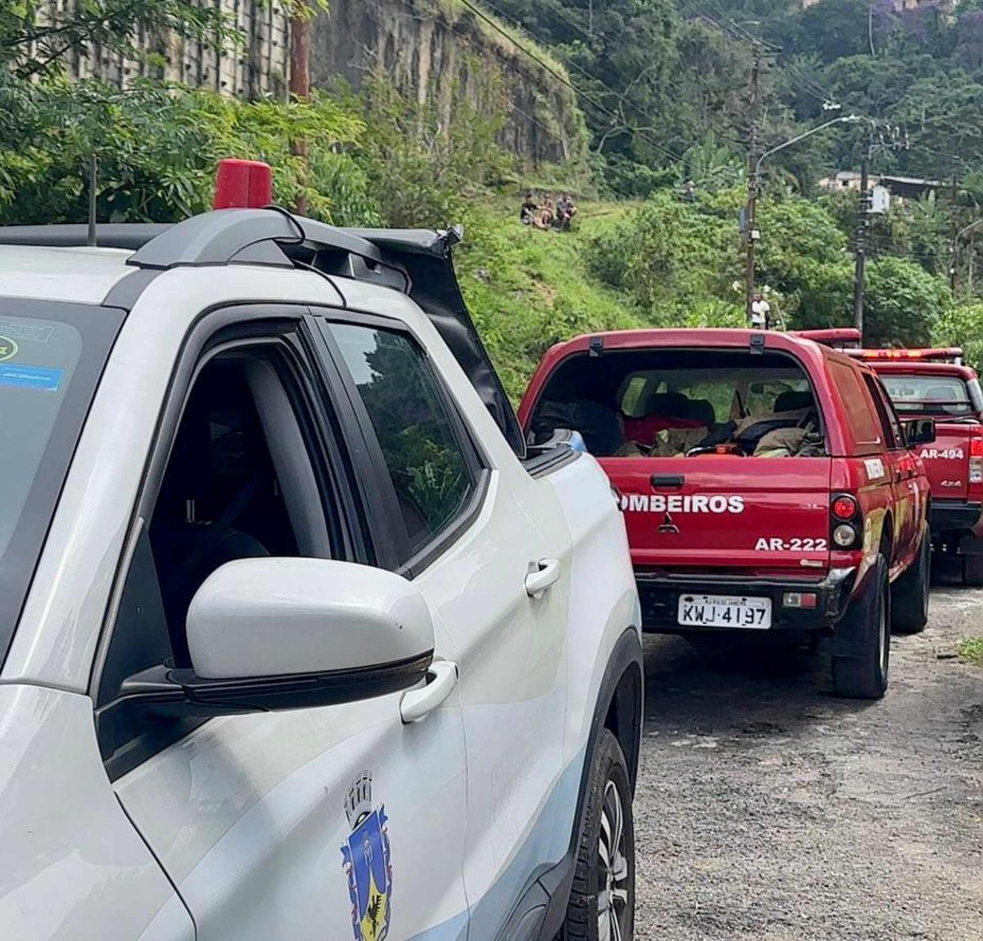 Cães são resgatados após atacarem cavalo no Quitandinha