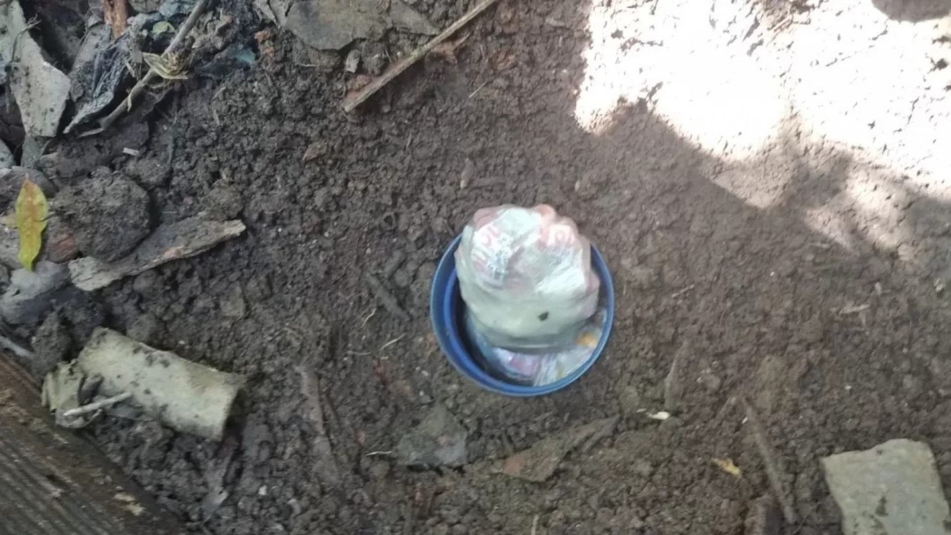 Polícia Civil encontra drogas e recupera carga de cerveja roubada em Araruama