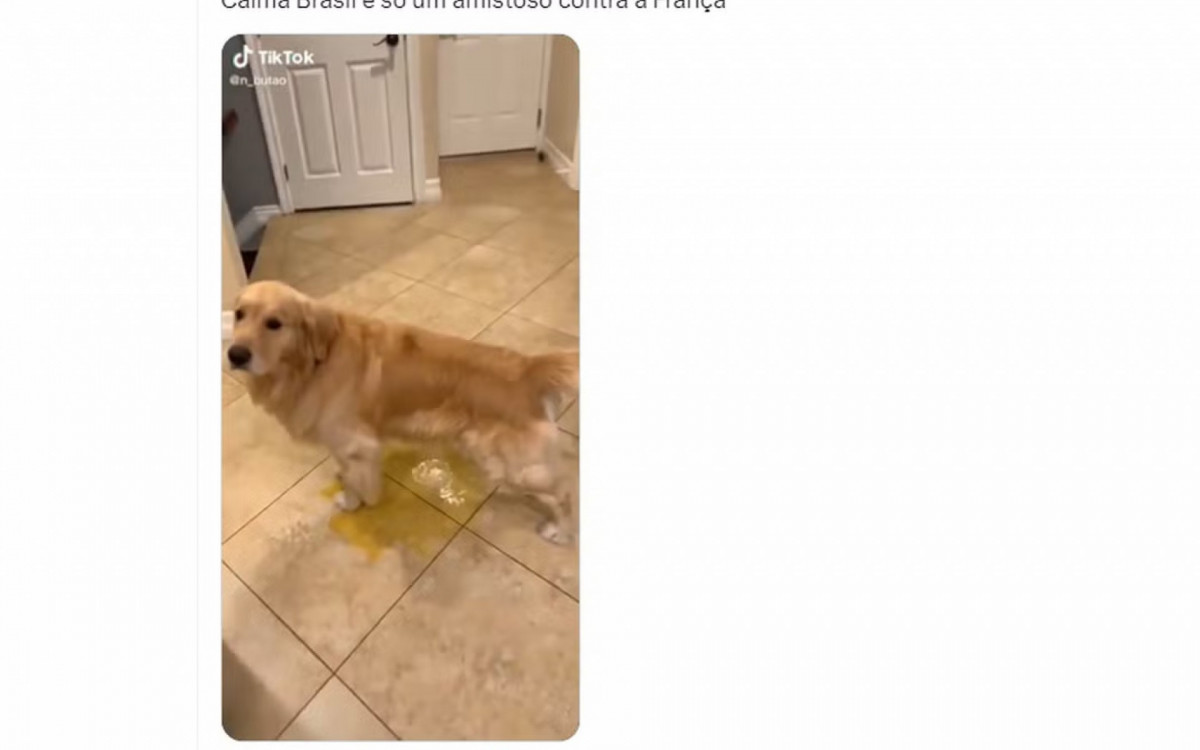 Derrota do Brasil para a França rendeu memes