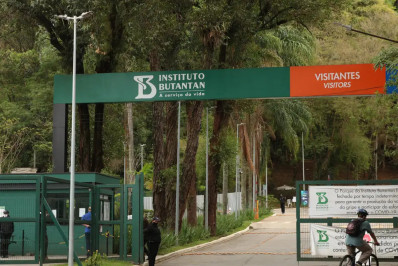 Butantan produzirá remédio contra câncer para o SUS