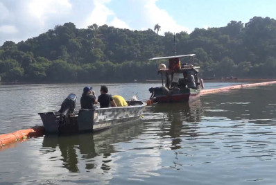 Você já parou para pensar nos impactos ambientais do seu cabelo?