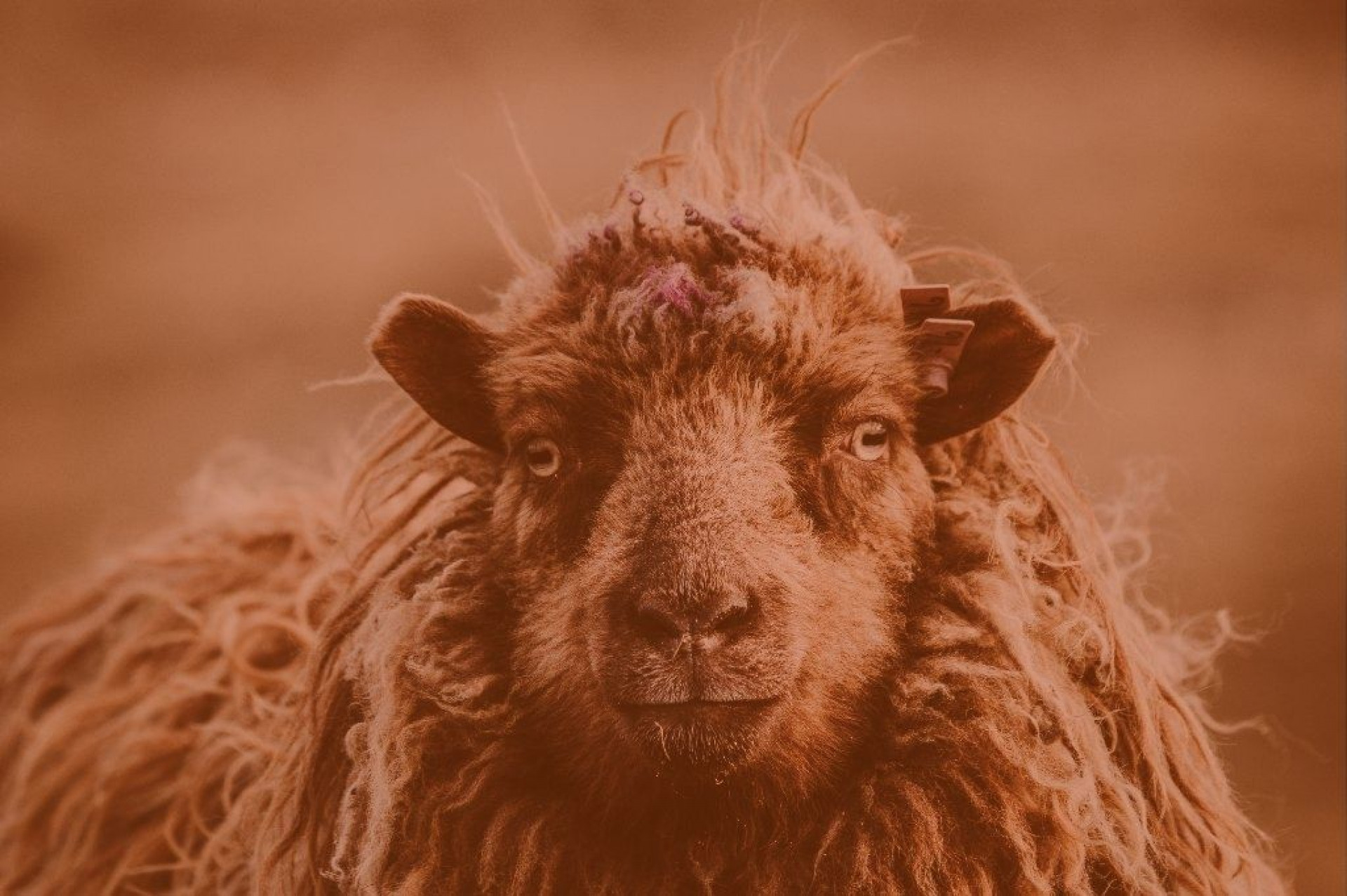 M&ecirc;s de &Aacute;ries 2026: o que o c&eacute;u hist&oacute;rico de mar&ccedil;o revela para voc&ecirc;