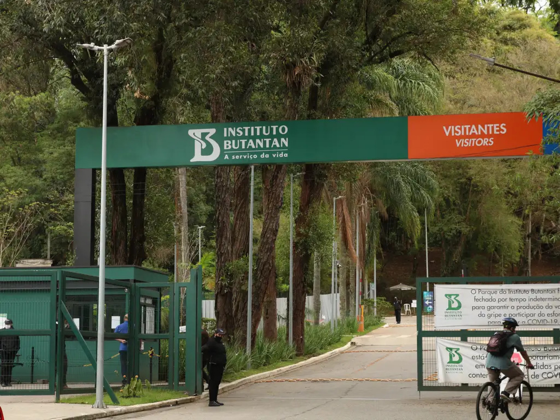 Butantan produzirá remédio contra câncer para o SUS