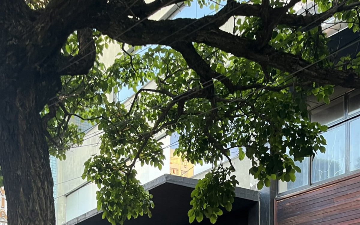 Homem passou mal durante atividade em academia e morreu no local