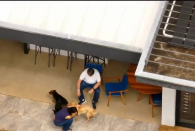 'Meu galego está animado', afirma Michelle sobre Bolsonaro