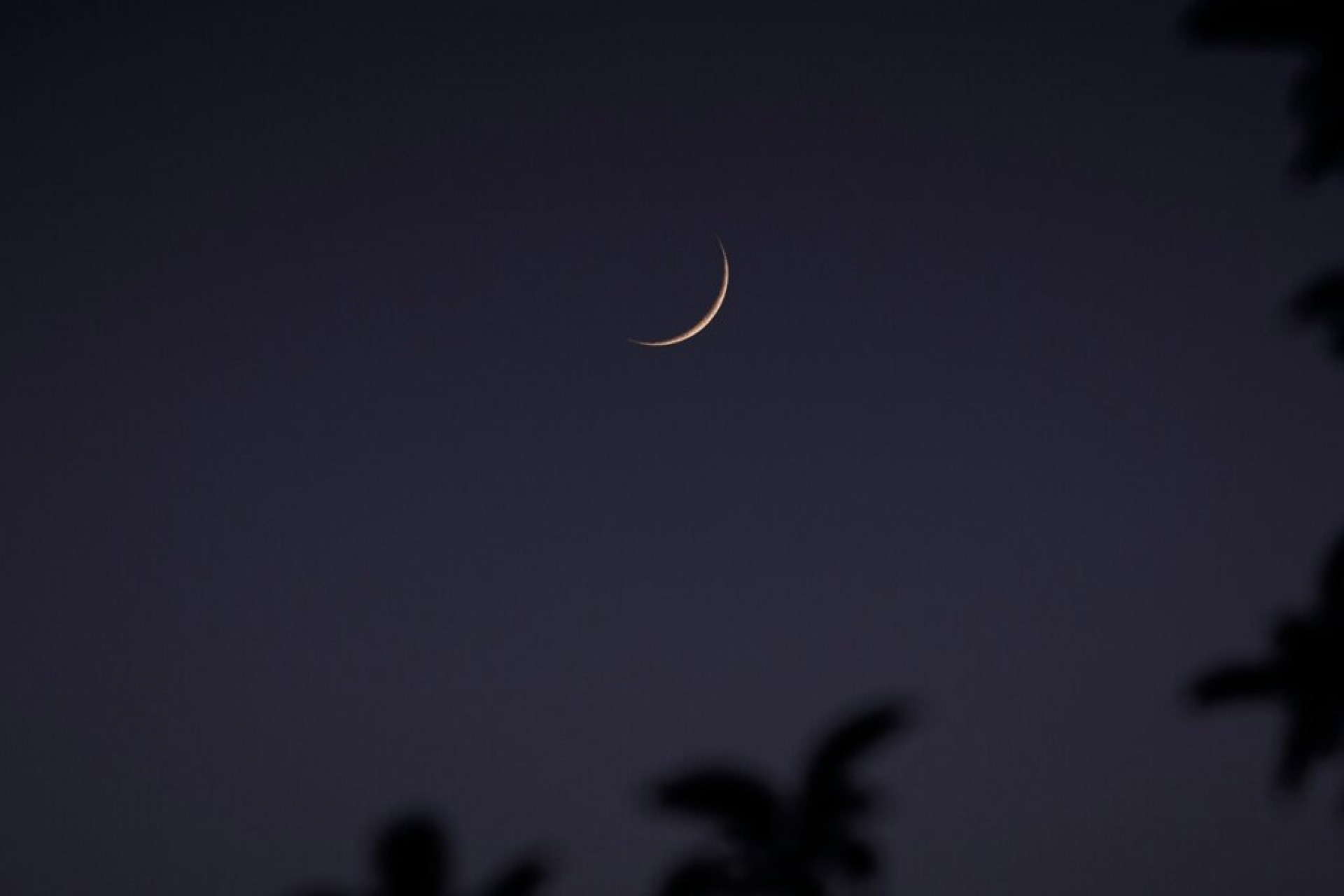 Lua Crescente em C&acirc;ncer: o que fazer no dia 26/03 para nutrir o que voc&ecirc; quer