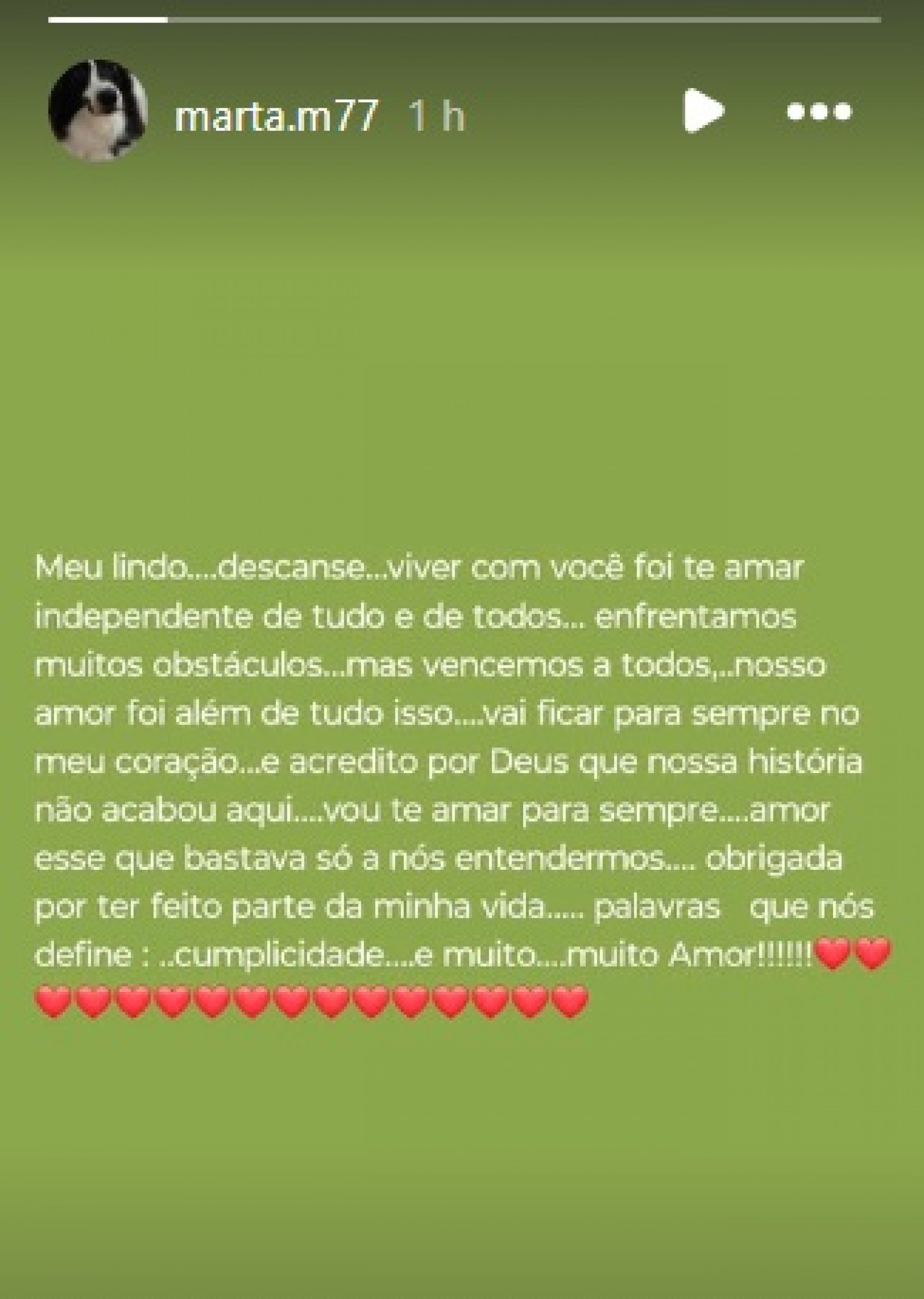 Viúva de Gerson Brenner, Marta, se despede do amado - Reprodução do Instagram