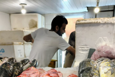 Veja cuidados ao consumir peixes e frutos do mar na Semana Santa