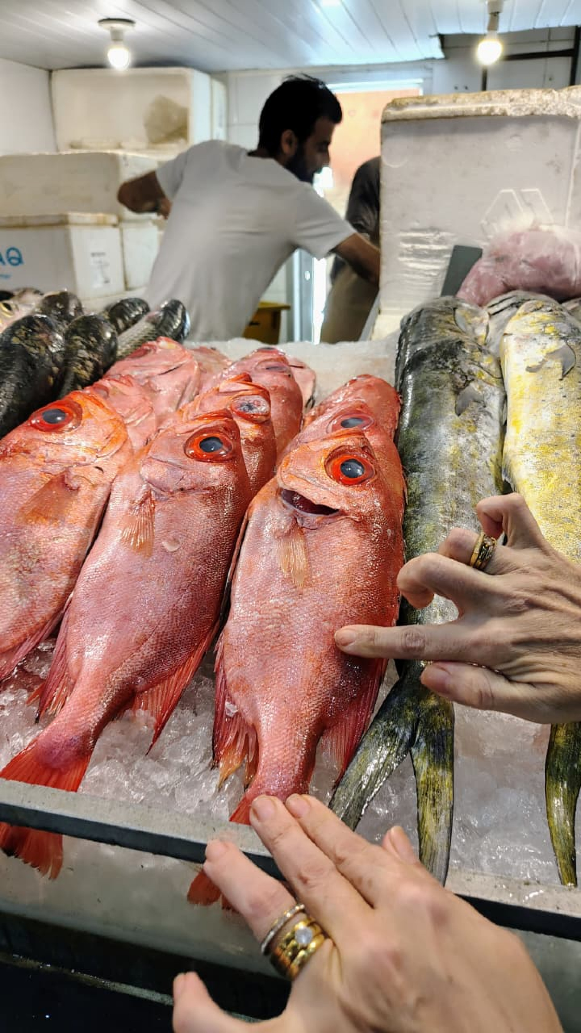 Consumidor deve evitar produtos com cheiro forte ou sem refrigeração adequada - Divulgação / SES-RJ