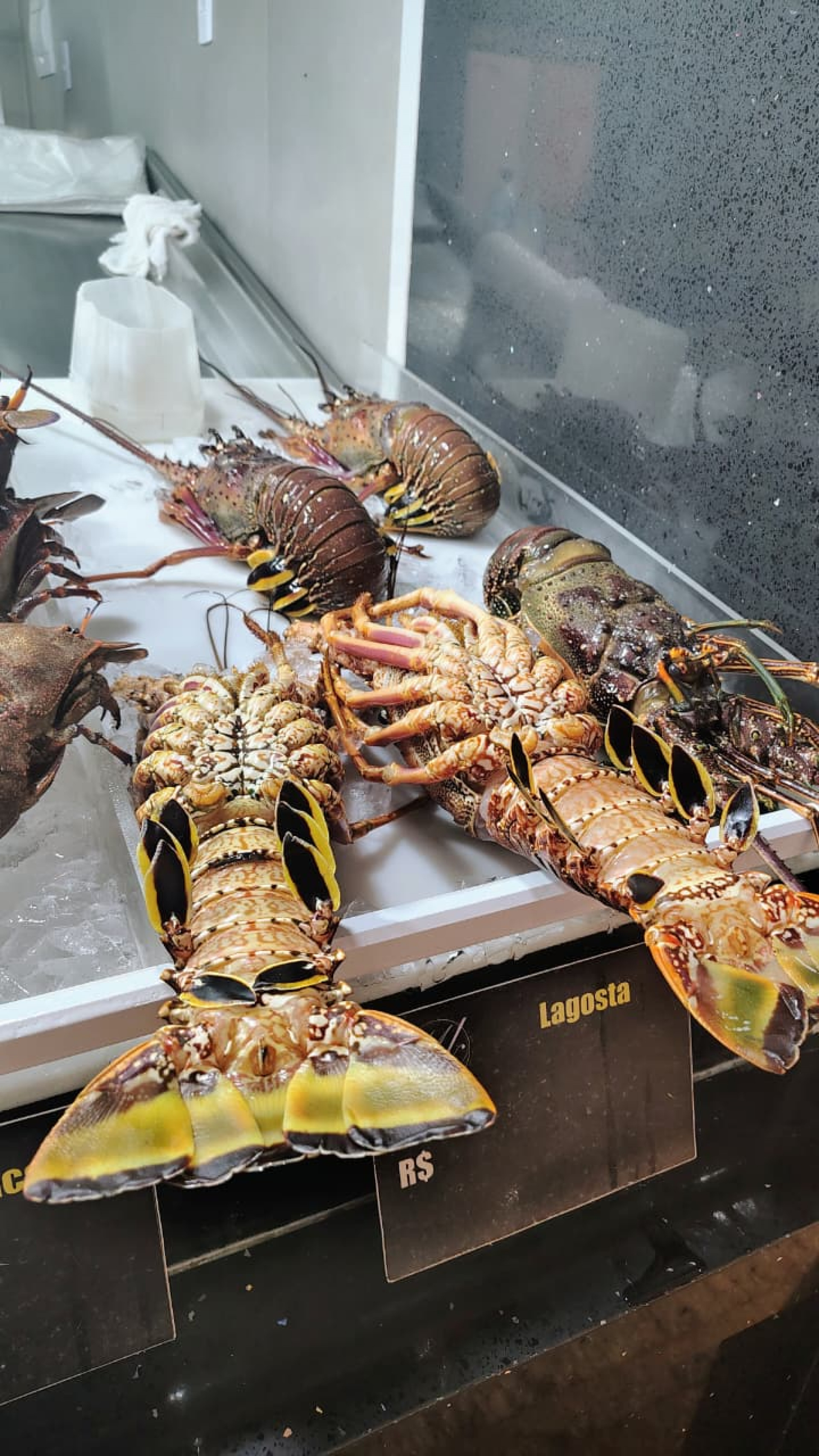 Preparações cozidas podem ser mantidas por até três dias
 - Divulgação / SES-RJ