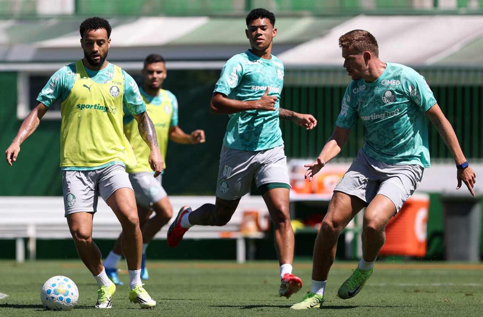 Piquerez inicia tratamento de les&atilde;o em reapresenta&ccedil;&atilde;o do Palmeiras