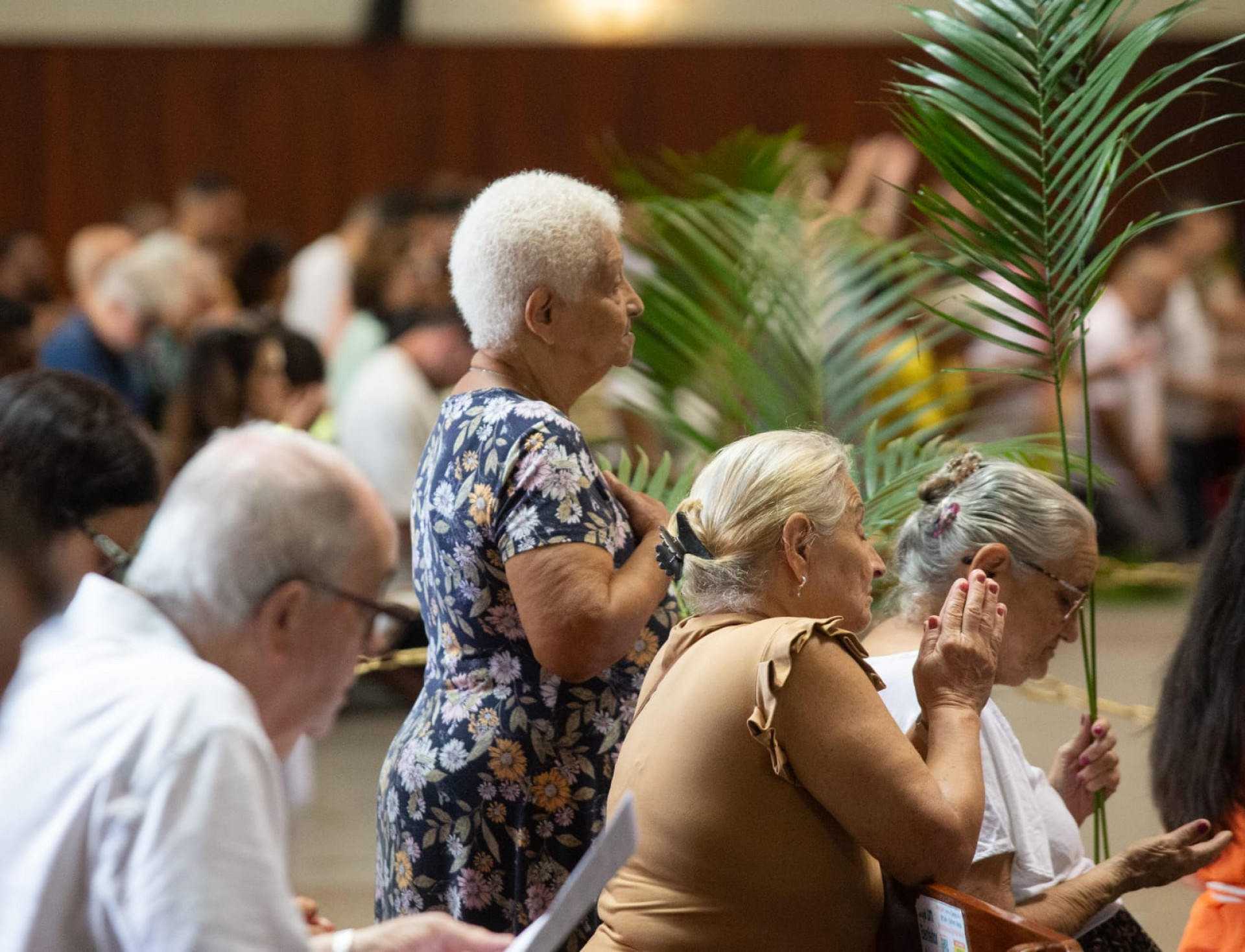 Fiéis celebram Domingo de Ramos na Catedral Metropolitana - Érica Martin/Agência O DIA