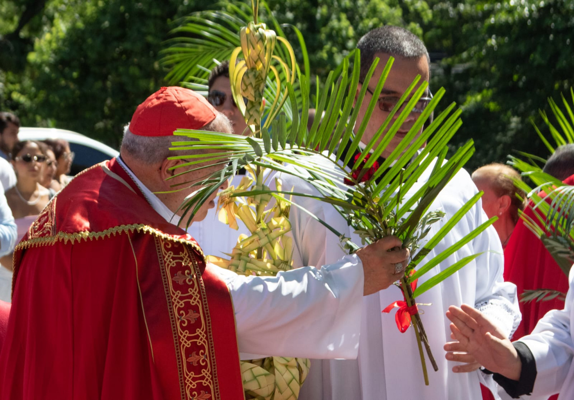 Dom Orani celebra Domingo de Ramos na Catedral - Érica Martin/Agência O DIA