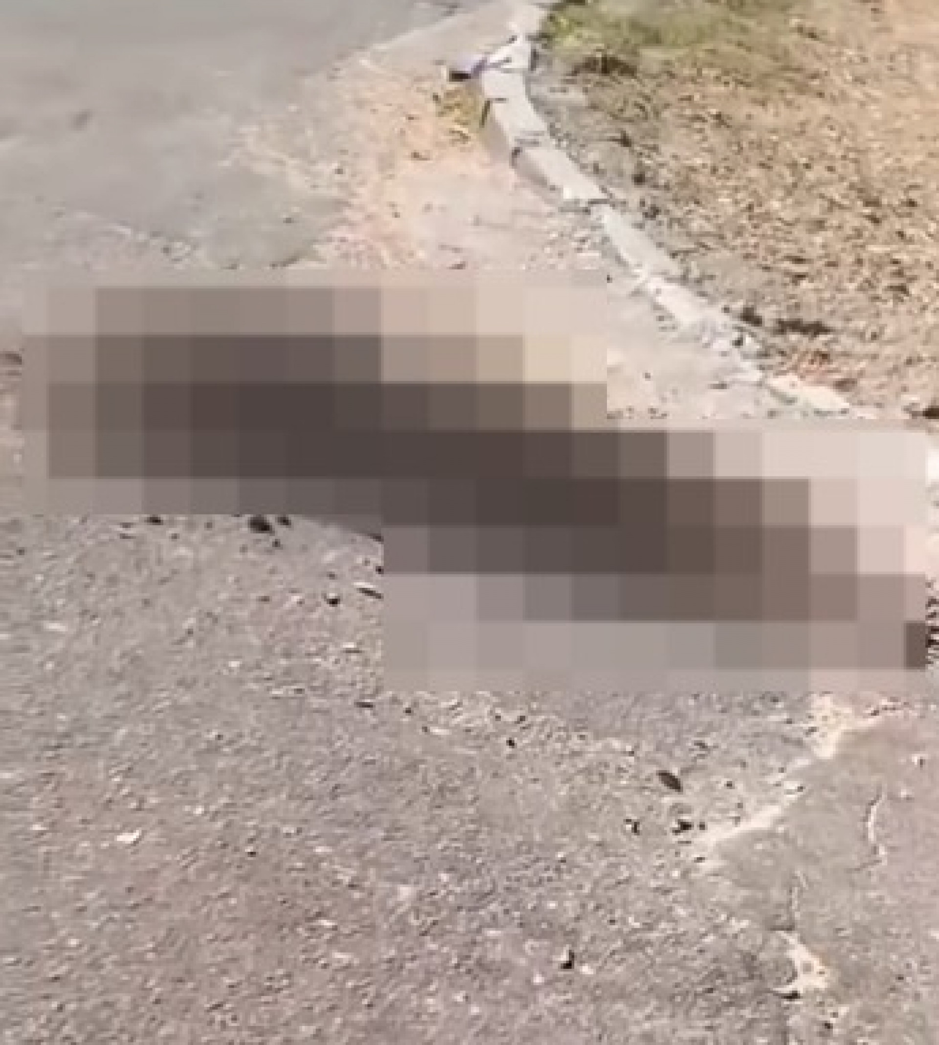 Corpo mutilado é encontrado no Anil