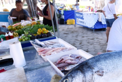 Feira da Agricultura Familiar e Pescado é tradição durante a Semana Santa