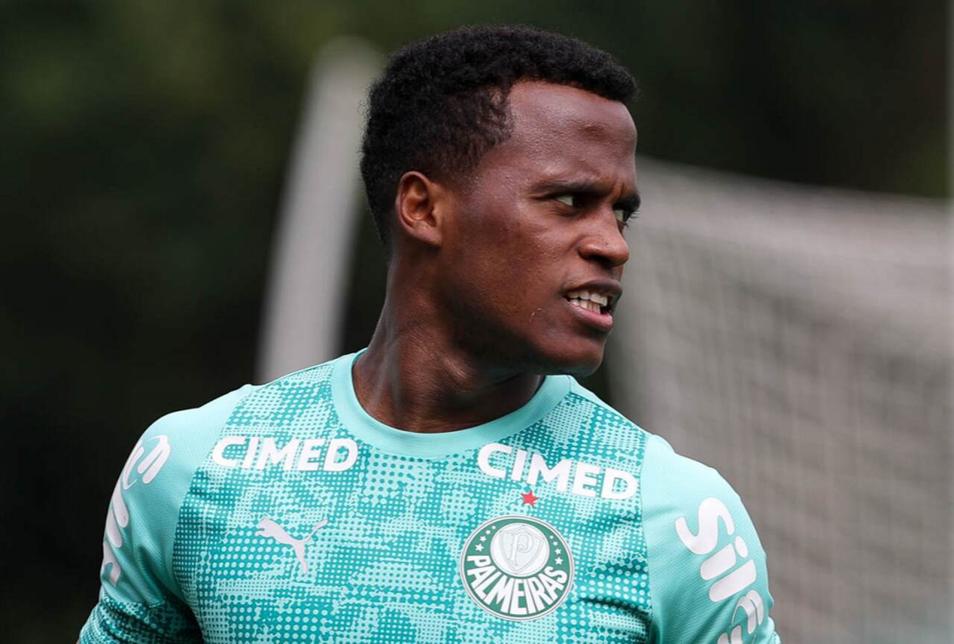 Arias retorna ap&oacute;s amistosos da Col&ocirc;mbia e treina no Palmeiras