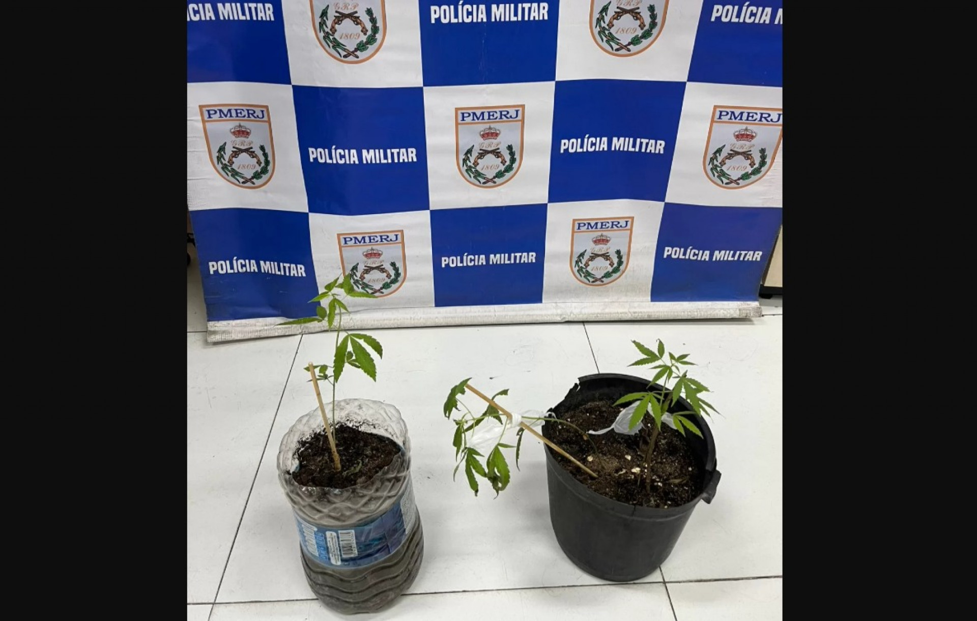 Suspeita &eacute; detida com entorpecentes ocultos durante abordagem. - Reprodu&ccedil;&atilde;o