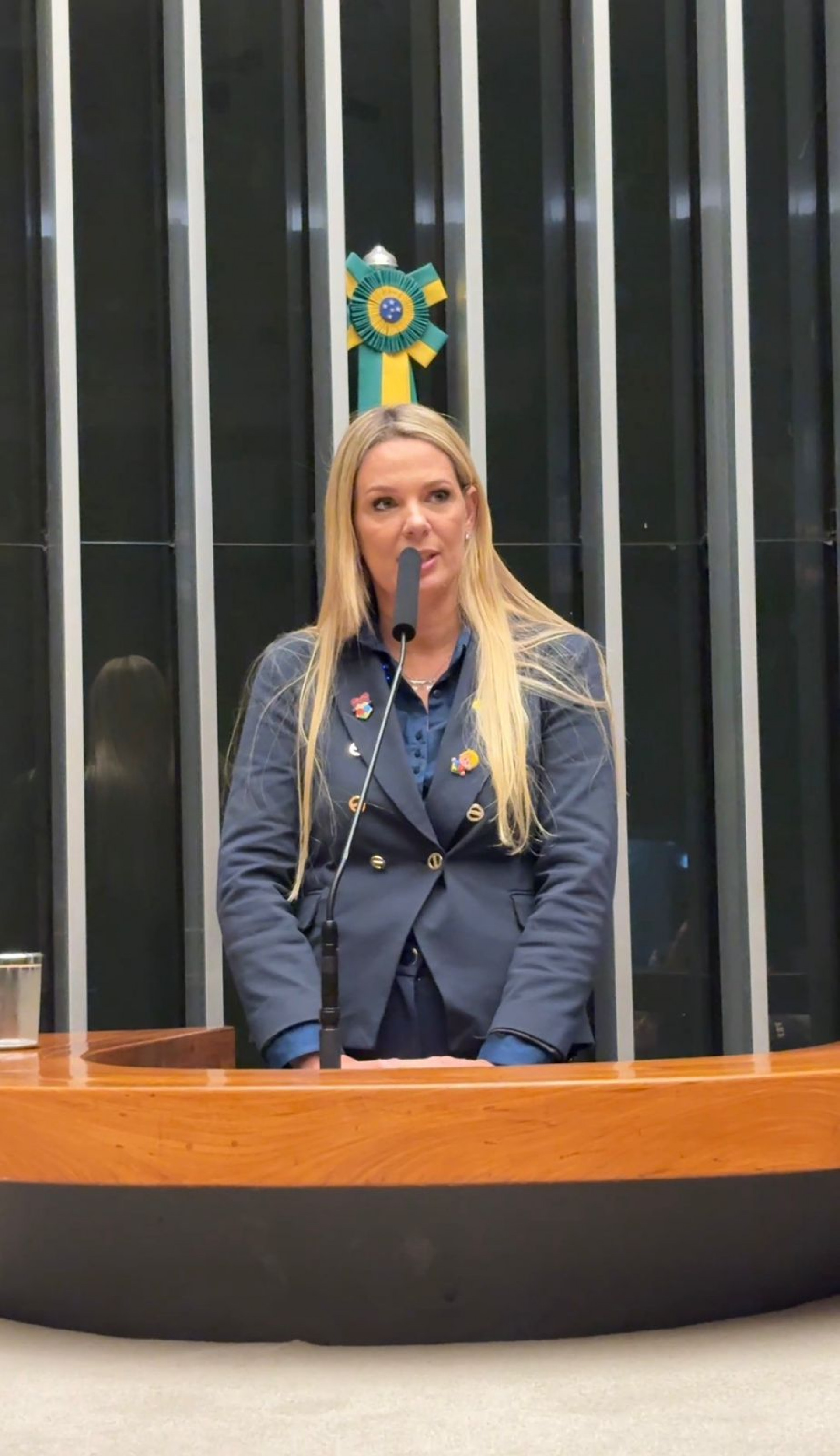 Vereadora de Niterói participa de Sessão sobre Autismo na Câmara dos Deputados