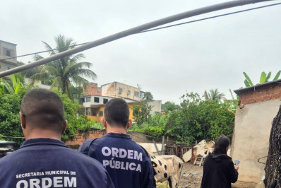 Prefeitura de Volta Redonda identifica irregularidades e maus-tratos a animais durante fiscalização no bairro Três Poços