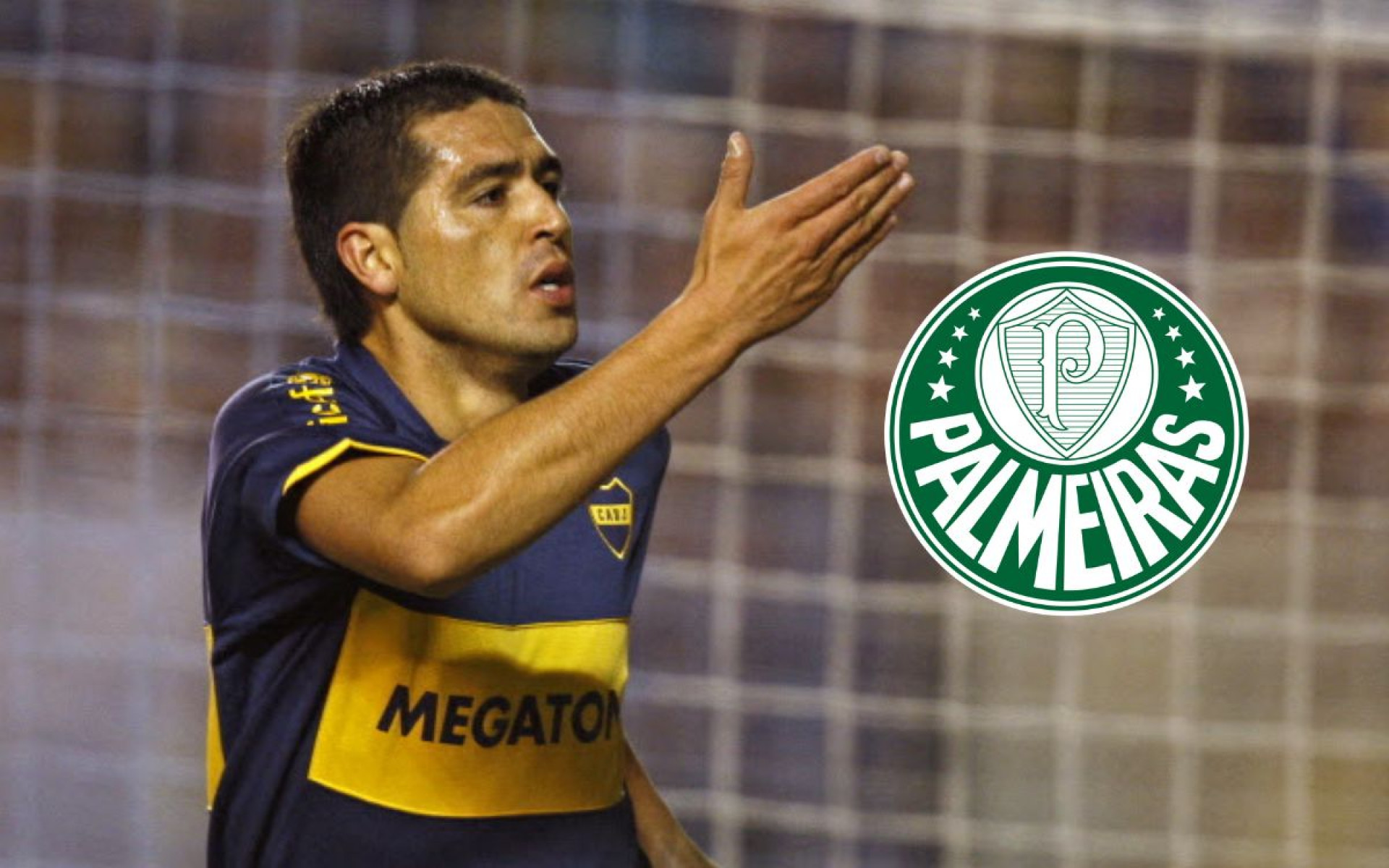 Riquelme no Palmeiras - Alejandro Pagni/AFP