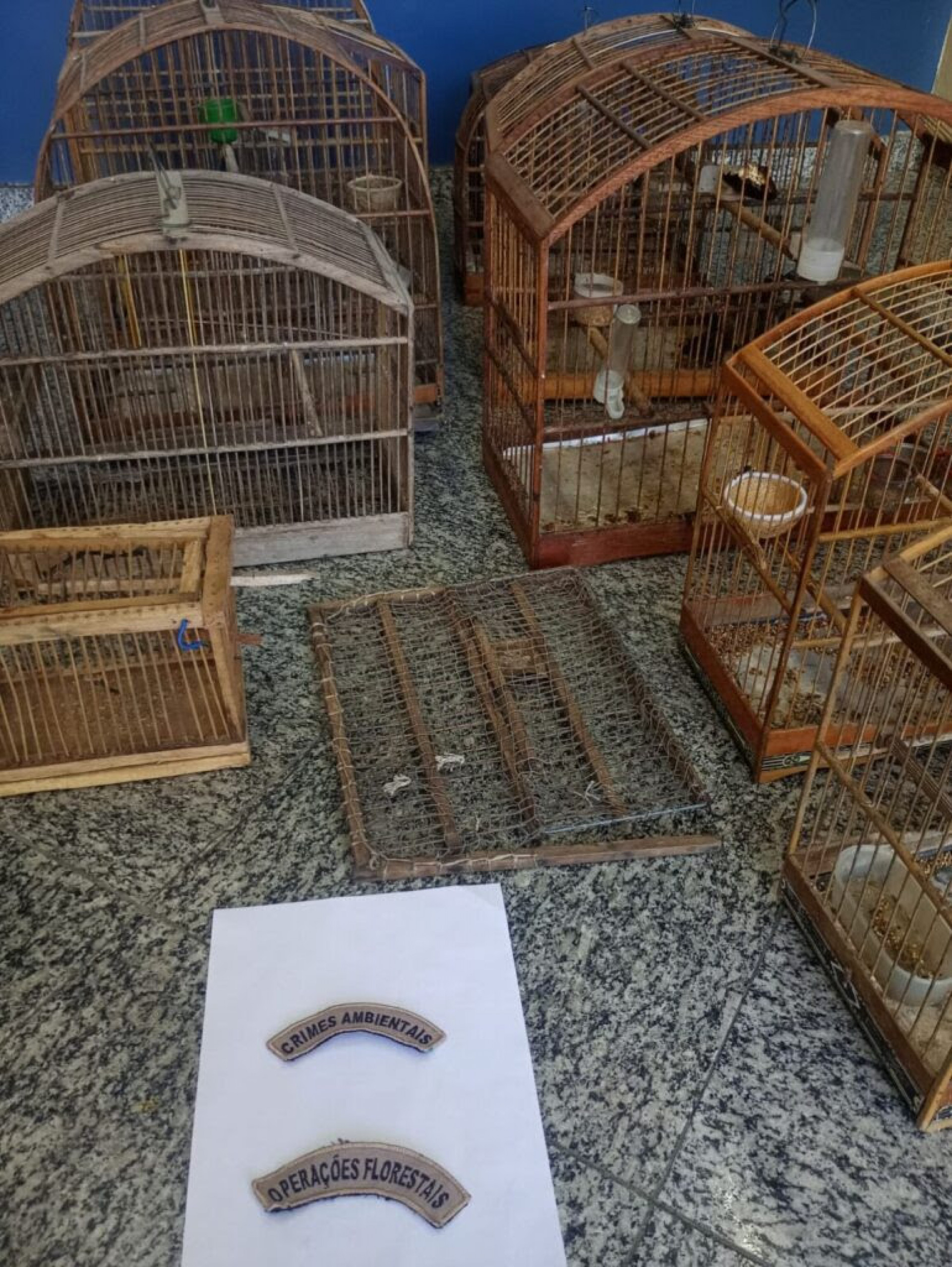 Grupamento Ambiental de Quatis apreende pássaros silvestres e materiais de caça ilegal após denúncia