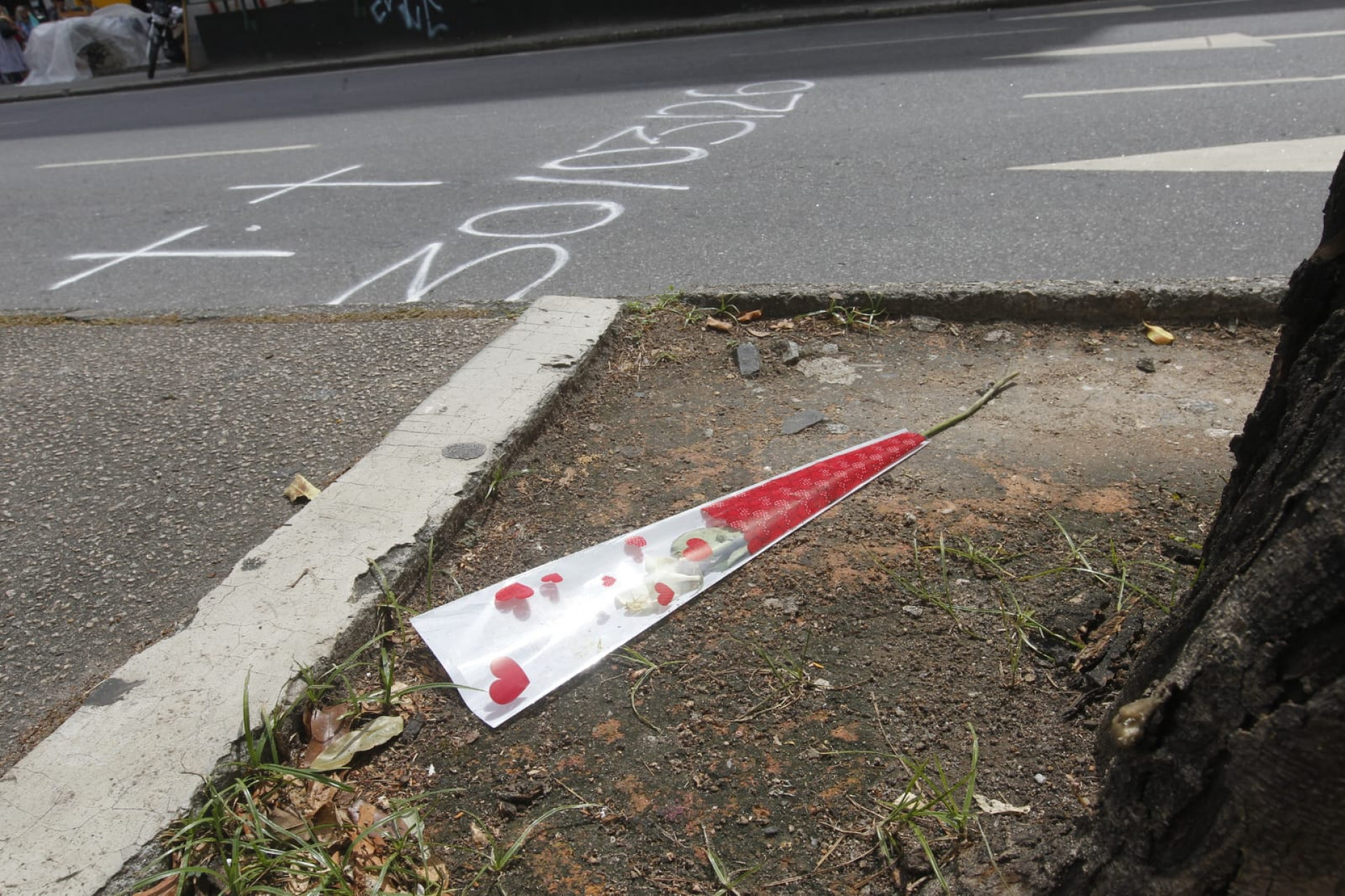 Homenagem a Emanoelle e Francisco na Rua Conde de Bonfim - Reginaldo Pimenta / Agência O Dia