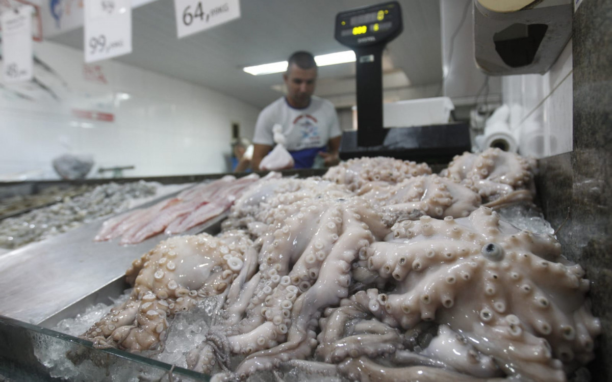 Peixes frescos chamam atenção de consumidores no Mercado São Pedro