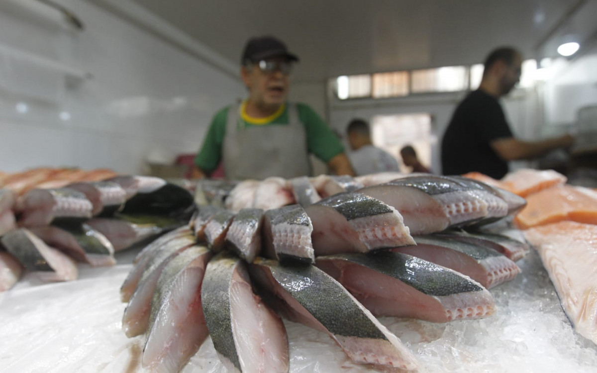 Peixes frescos chamam atenção de consumidores no Mercado São Pedro