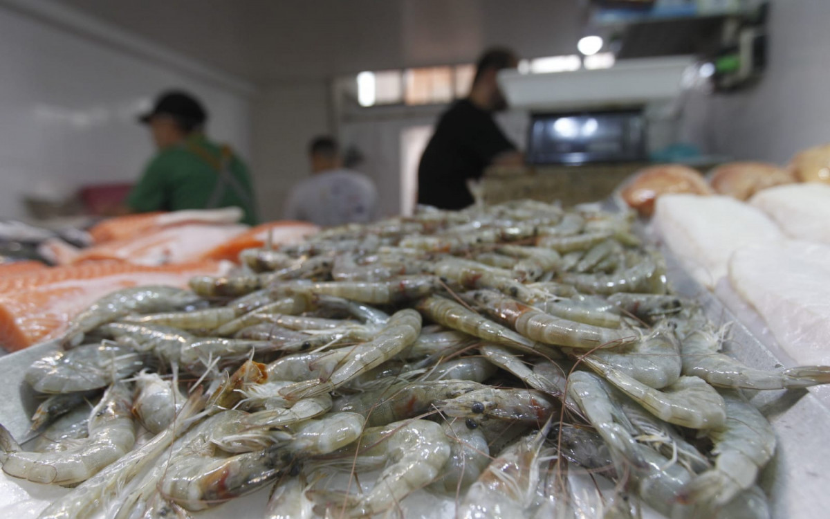 Peixes frescos chamam atenção de consumidores no Mercado São Pedro