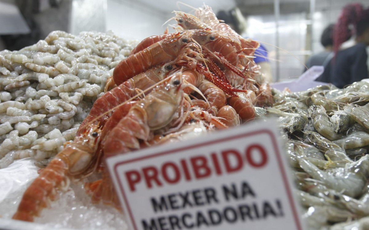 Peixes frescos chamam atenção de consumidores no Mercado São Pedro