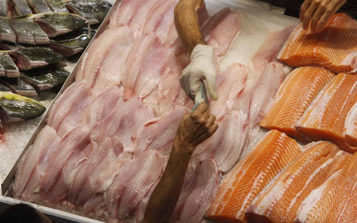 Peixes frescos chamam atenção de consumidores no Mercado São Pedro